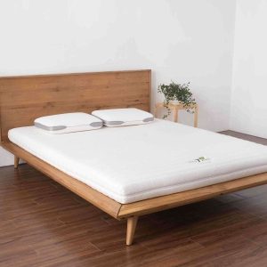 Đệm cao su Gummi 7 Zones